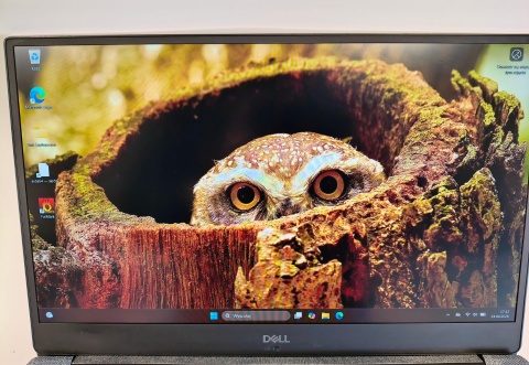 Mocny DELL XPS 15,6' 7590 i7/16GB/512GB SSD GeForce GTX 1650 4GB